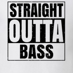 Straight Outta Bass Nouns Words Compton Parody T Shirt 19360033