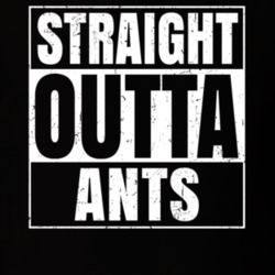 Straight Outta Ants Nouns Compton Parody T Shirt 19360075