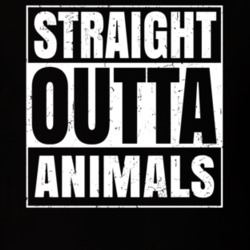 Straight Outta Animals Nouns Compton Parody T Shirt 19360083