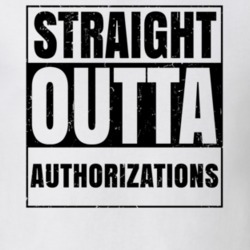 Straight Outta Authorizations Nouns Words Compton Parody T Shirt 19360119