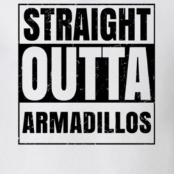 Straight Outta Armadillos Nouns Words Compton Parody T Shirt 19360170