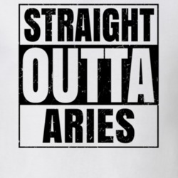 Straight Outta Aries Nouns Words Compton Parody T Shirt 19360177