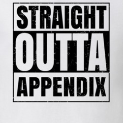 Straight Outta Appendix Nouns Words Compton Parody T Shirt 19360205