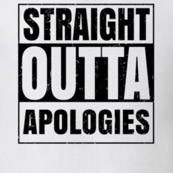 Straight Outta Apologies Nouns Words Compton Parody T Shirt 19360209
