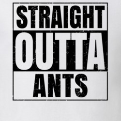 Straight Outta Ants Nouns Words Compton Parody T Shirt 19360216