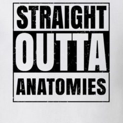 Straight Outta Anatomies Nouns Words Compton Parody T Shirt 19360225