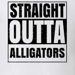 Straight Outta Alligators Nouns Words Compton Parody T Shirt 19360236