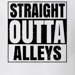 Straight Outta Alleys Nouns Words Compton Parody T Shirt 19360237