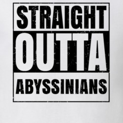 Straight Outta Abyssinians Nouns Words Compton Parody T Shirt 19360281