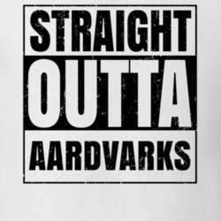 Straight Outta Aardvarks Nouns Words Compton Parody T Shirt 19360282