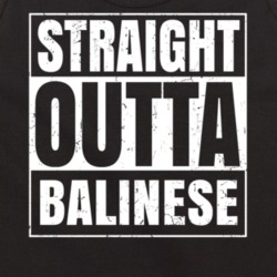 Straight Outta Balinese Nouns Compton Parody Tanktop 21504904