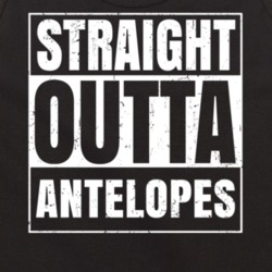 Straight Outta Antelopes Nouns Compton Parody Tanktop 21505599