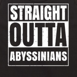 Straight Outta Abyssinians Nouns Compton Parody Tanktop 21506027