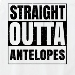 Straight Outta Antelopes Nouns Words Compton Parody Tanktop 21506110