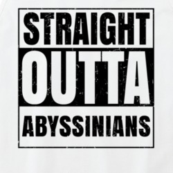 Straight Outta Abyssinians Nouns Words Compton Parody Tanktop 21506372