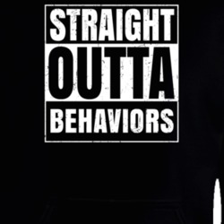 Straight Outta Behaviors Nouns Compton Parody Hooded Pullover 25313036