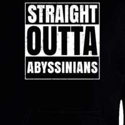 Straight Outta Abyssinians Nouns Compton Parody Hooded Pullover 25313745
