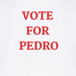 Vote 2020 Election Funny T Shirt Vote For Pedro Napoleon Movie T Shirt 38477176