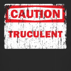 Truculent Caution Adjective Distressed T Shirt 3849492