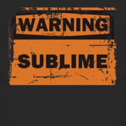 Sublime Warning Adjective Distressed T Shirt 3865668