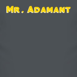 Mr. Adamant Adjective Funny Random T Shirt 4210571