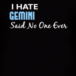 Hate Gemini Said No One Ever Funny T Shirt 4977330