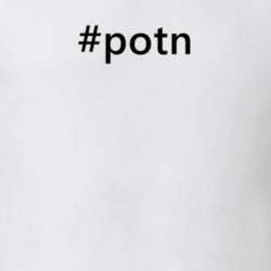 Hashtag Potn Popular Trending Essential IG Caption T Shirt 6158928