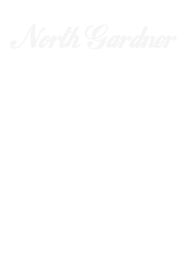 image overlay