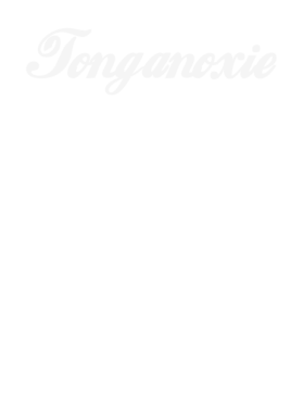 image overlay