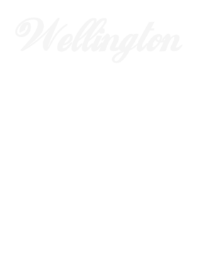 image overlay