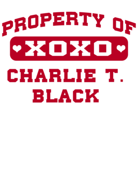 image overlay