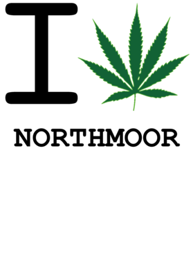 https://d1w8c6s6gmwlek.cloudfront.net/dotkansas.com/overlays/223/624/2236243.png img