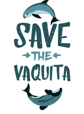 https://d1w8c6s6gmwlek.cloudfront.net/dotkansas.com/overlays/366/504/36650481.png img