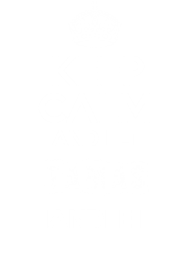 https://d1w8c6s6gmwlek.cloudfront.net/dotkansas.com/overlays/366/778/36677893.png img