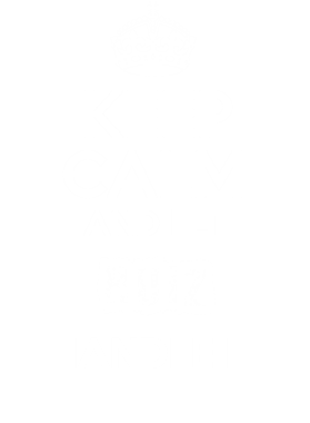 image overlay