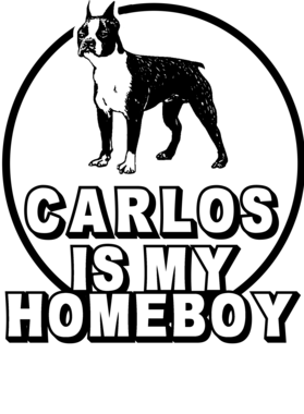 image overlay