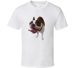 Boston Terrior Shirt 35219691