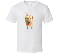 Husky Golden Dog Shirt 35219692