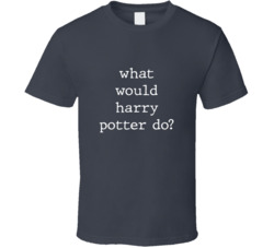 What Would What Would Harry Potter Do? Do Popular Fictional Character Pop Culture Funny Cool Unique Gift T Shirt 39149143