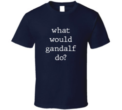 What Would What Would Gandalf Do? Do Popular Fictional Character Pop Culture Funny Cool Unique Gift T Shirt 39149145