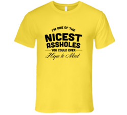 Nicest Asshole You Could Ever Meet T Shirt 5727230
