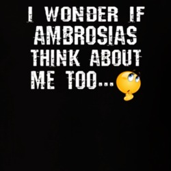 36124790