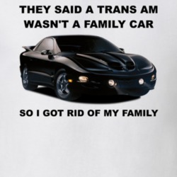 36266756