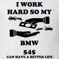 36464813