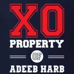 Property Of Adeeb Harb Professional Poker Player Fan T Shirt 18963913