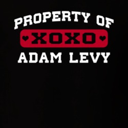 Property Of Adam Levy Popular Poker Player Retro T Shirt 18965047