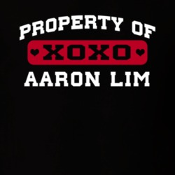 Property Of Aaron Lim Popular Poker Player Retro T Shirt 18965077