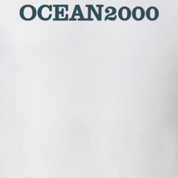 38731108