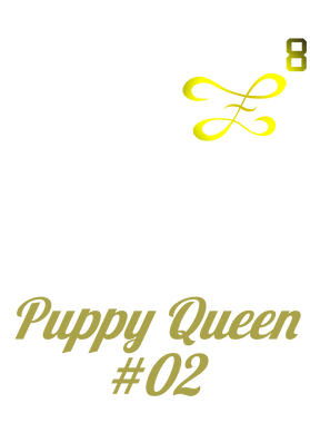 image overlay