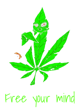 image overlay